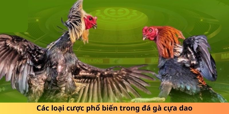 Những hình thức đặt cược thường thấy trong đá gà cựa dao